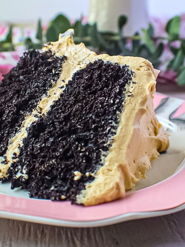 A slice of dark chocolate peanut butter layer cake on a dessert plate.