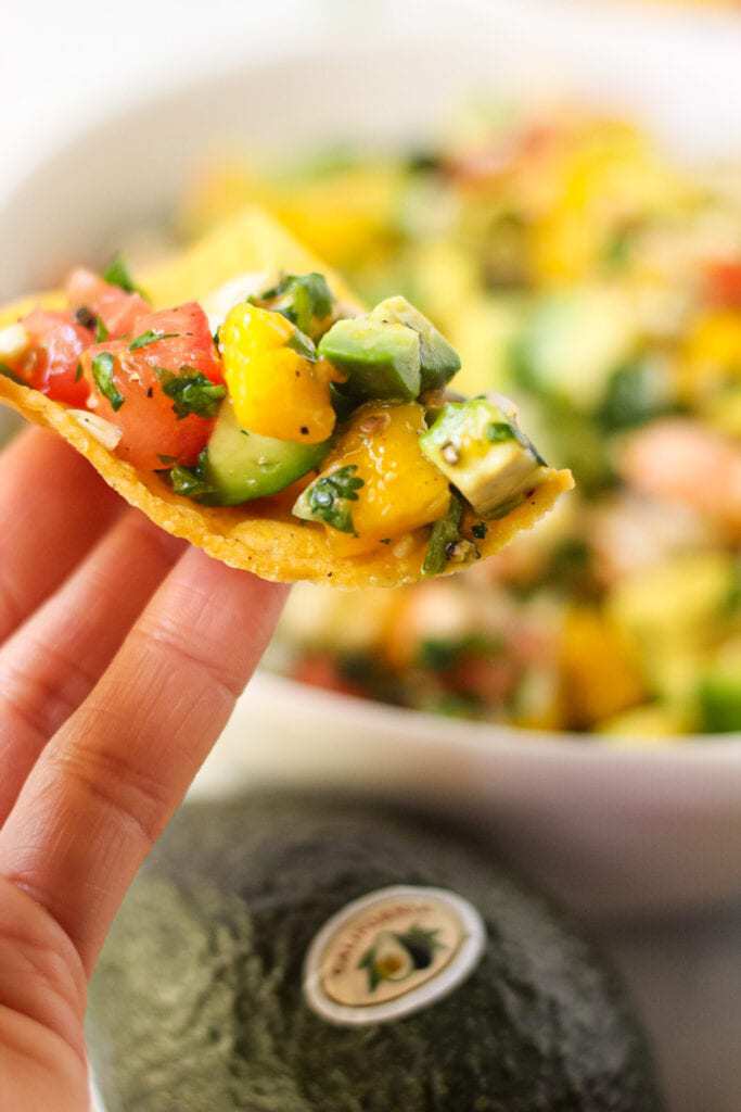 close up of Avocado, shrimp and mango ceviche on tortilla chip