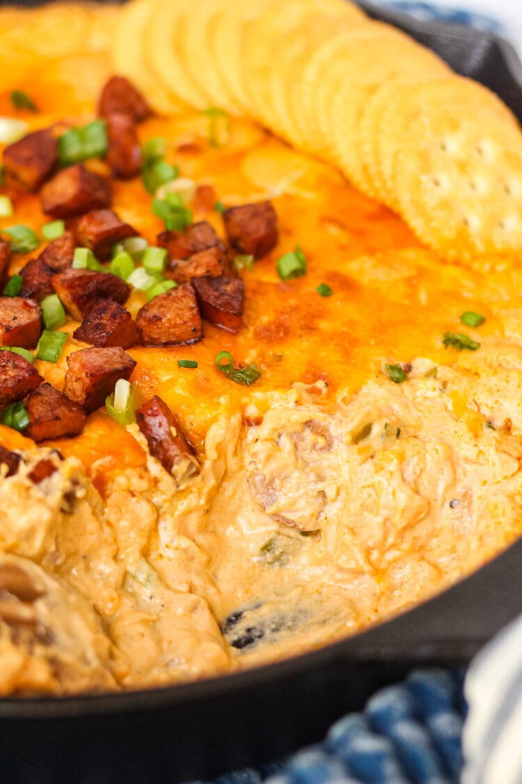 Cheesy Cajun Chicken and Sausage Dip Pink Owl Kitchen