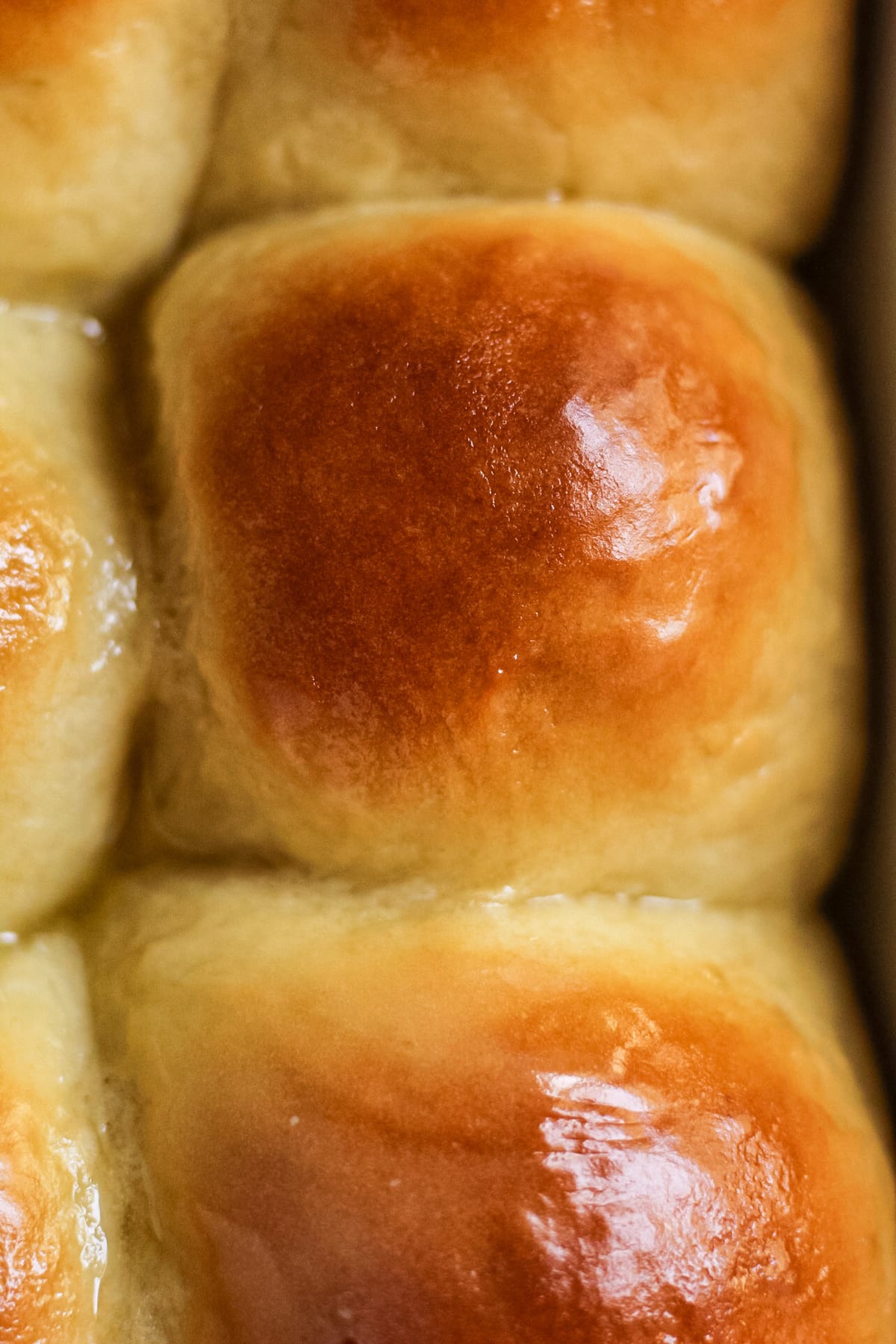 honey butter rolls in baking dish.