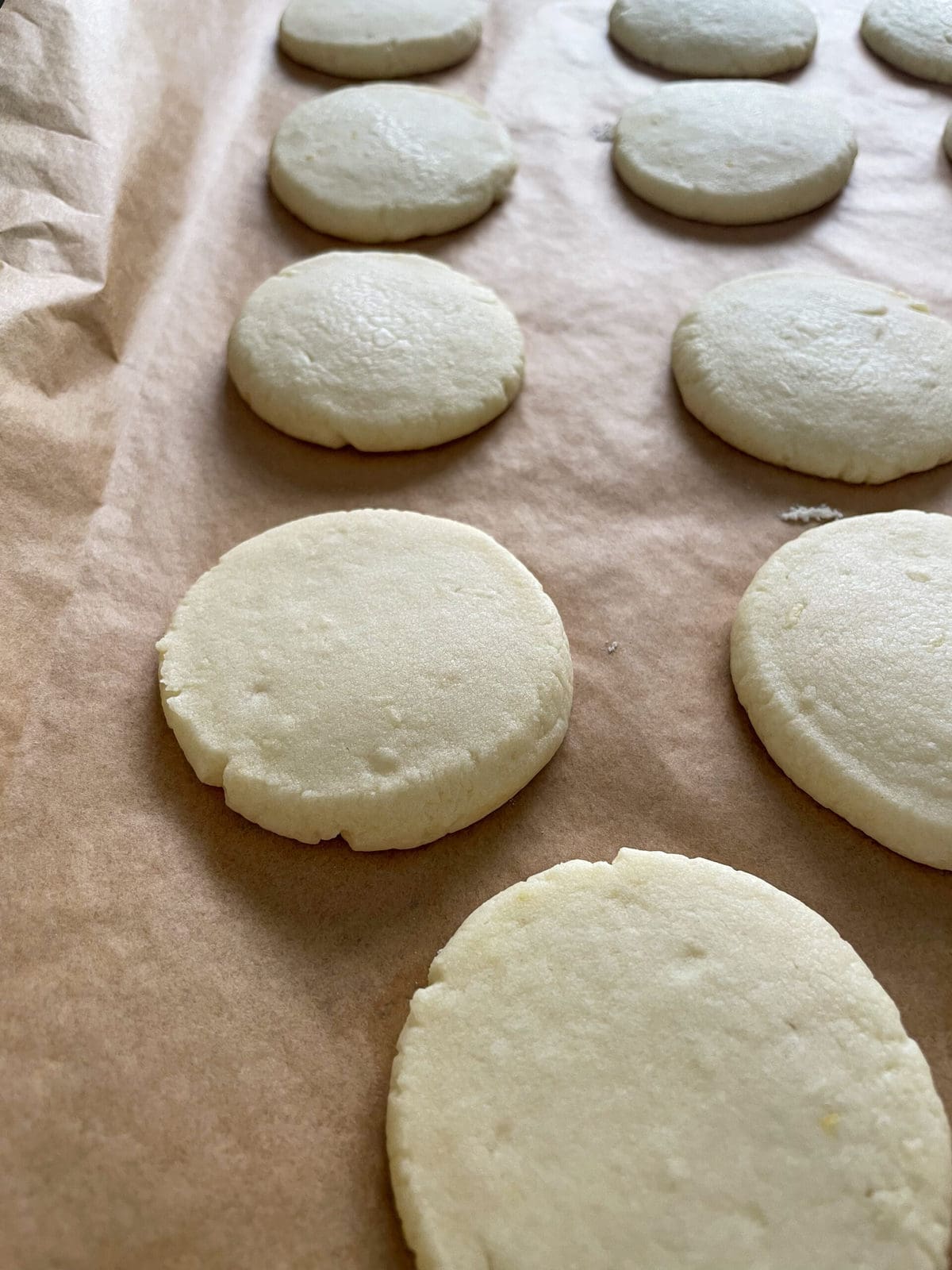 baked lemon shortbread cookies on baking sheet