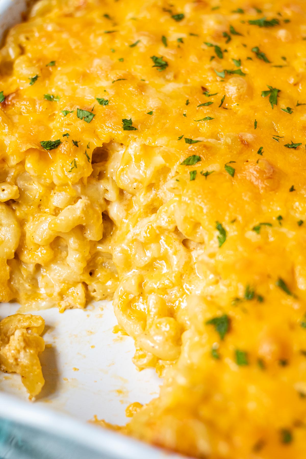 southern baked macaroni and cheese in a white baking dish