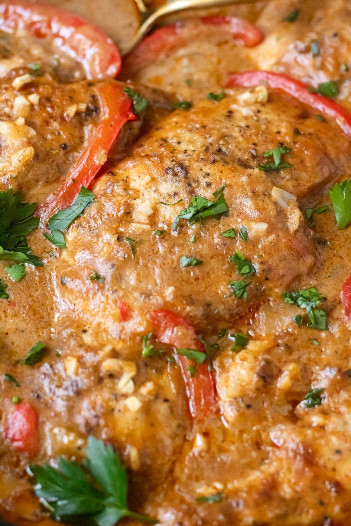 detail shot of cajun smothered chicken in skillet.