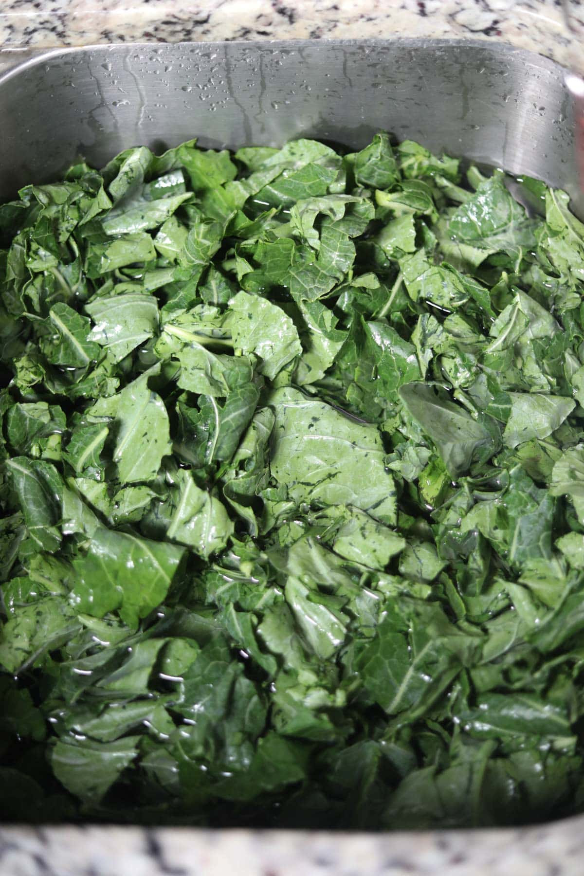 collard greens being cleaned in a kitchen sink.