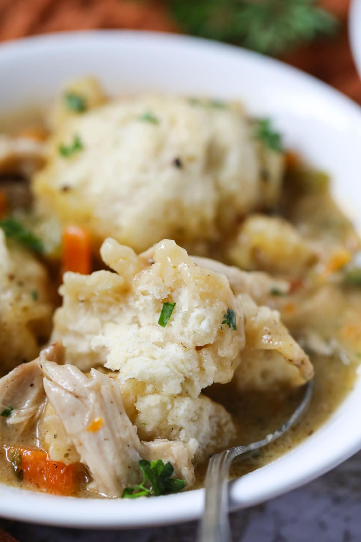 Southern homemade chicken and dumplings in a white bowl.