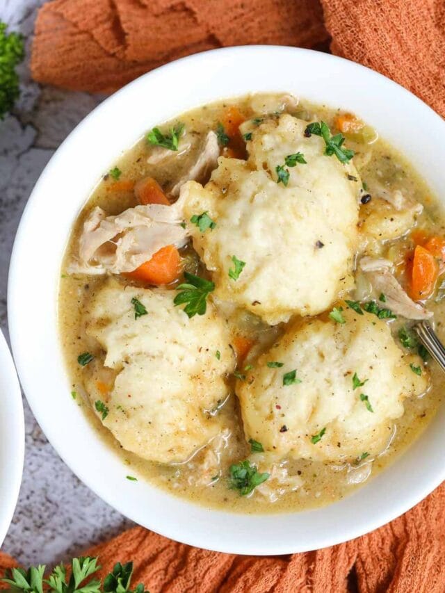 Southern homemade chicken and dumplings in a white bowl.
