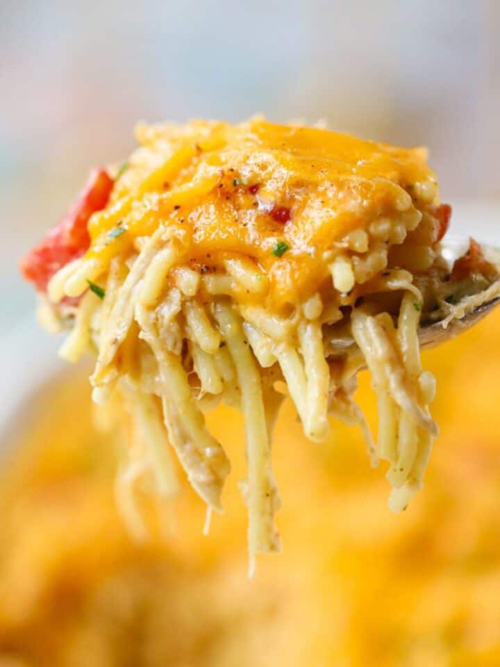 Easy chicken spaghetti with rotel on a serving spoon with a baking dish of chicken spaghetti in the background.