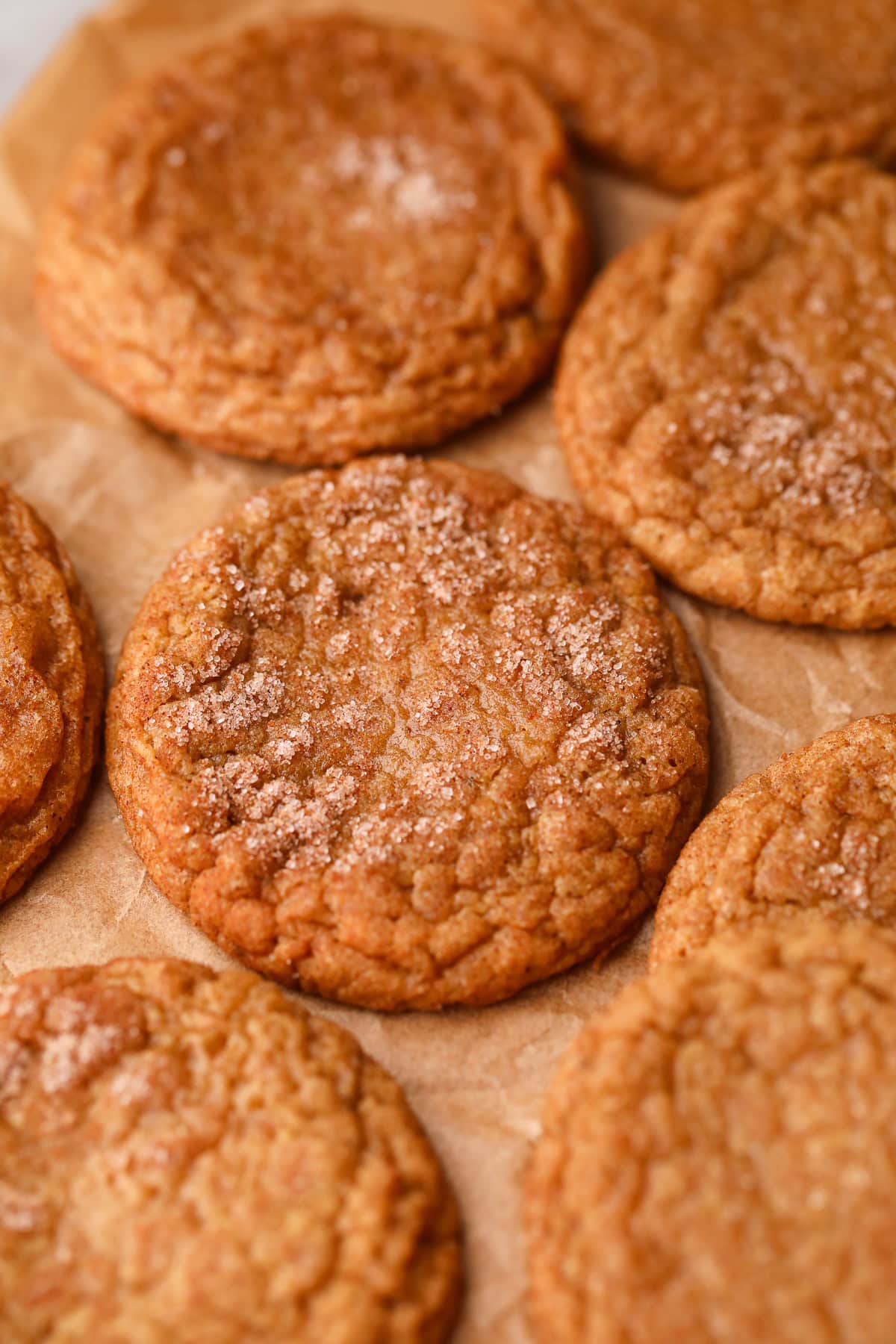Freshly baked apple butter snickerdoodles on a baking sheet.