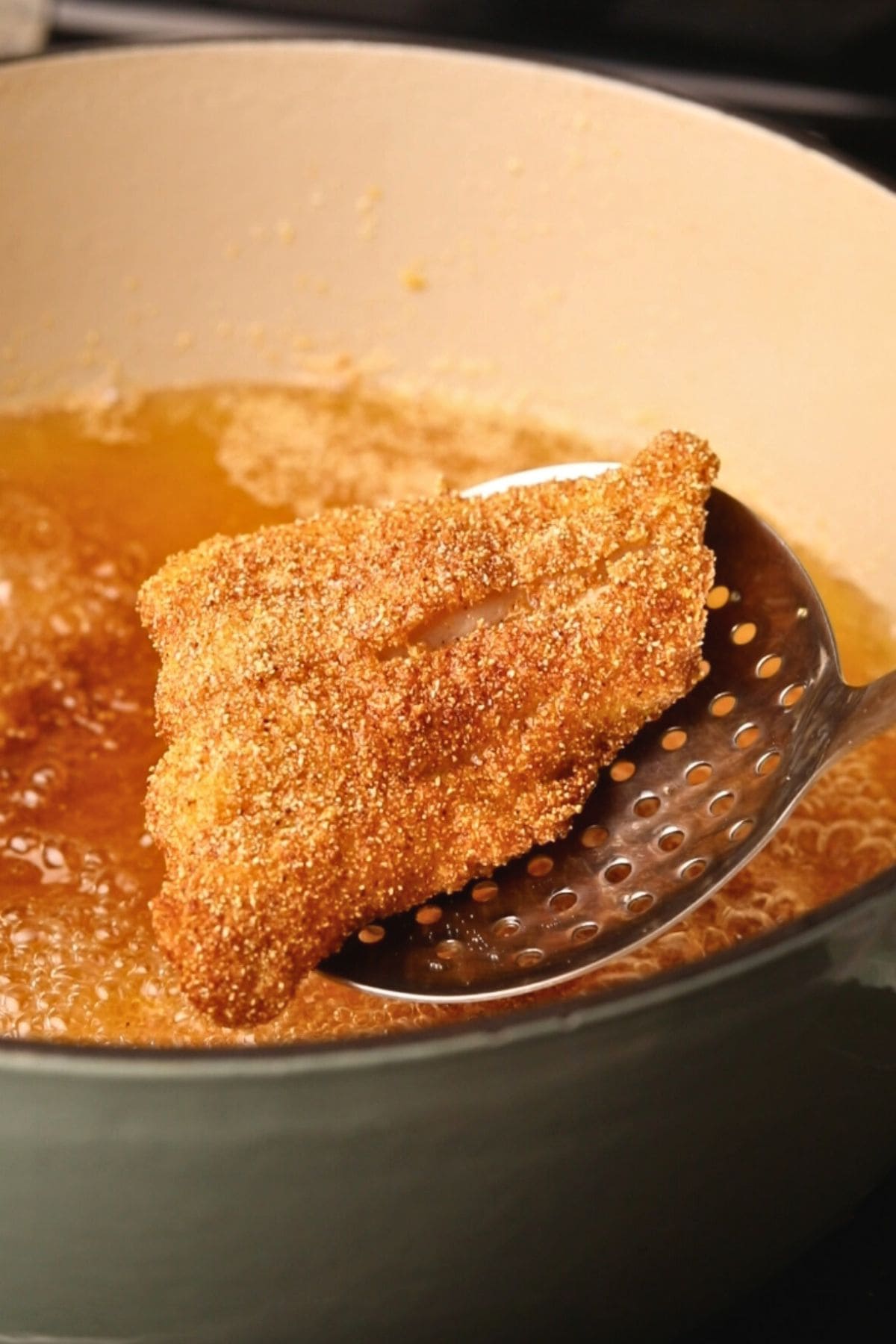 Fried catfish, freshly taken out of her oil on a strainer.